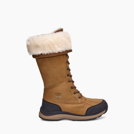 UGG Adirondack III Tall - Boots Dame - Brune (NO-N570)